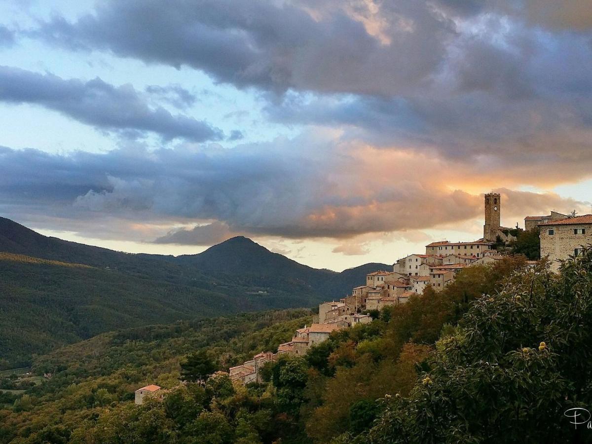 Atmospheric Apartment In Authentic House Near Beautiful Sasso Pisano Екстериор снимка